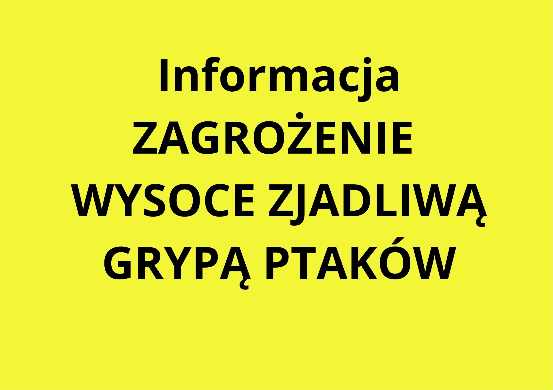 Grafika-informacja zagrożenie wysoce zjadliwą grypą ptaków